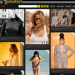 TaxiDriverMovie, 有名人ポルノサイト
