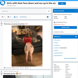 Face Down Ass Up, Reddits NSFW