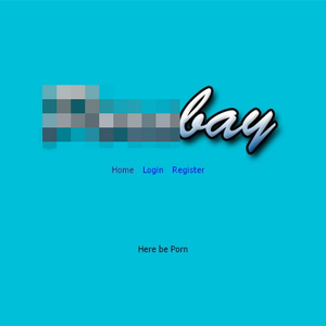 PornBay, Hall of Fame